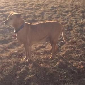 Meet your Posher, Isabel